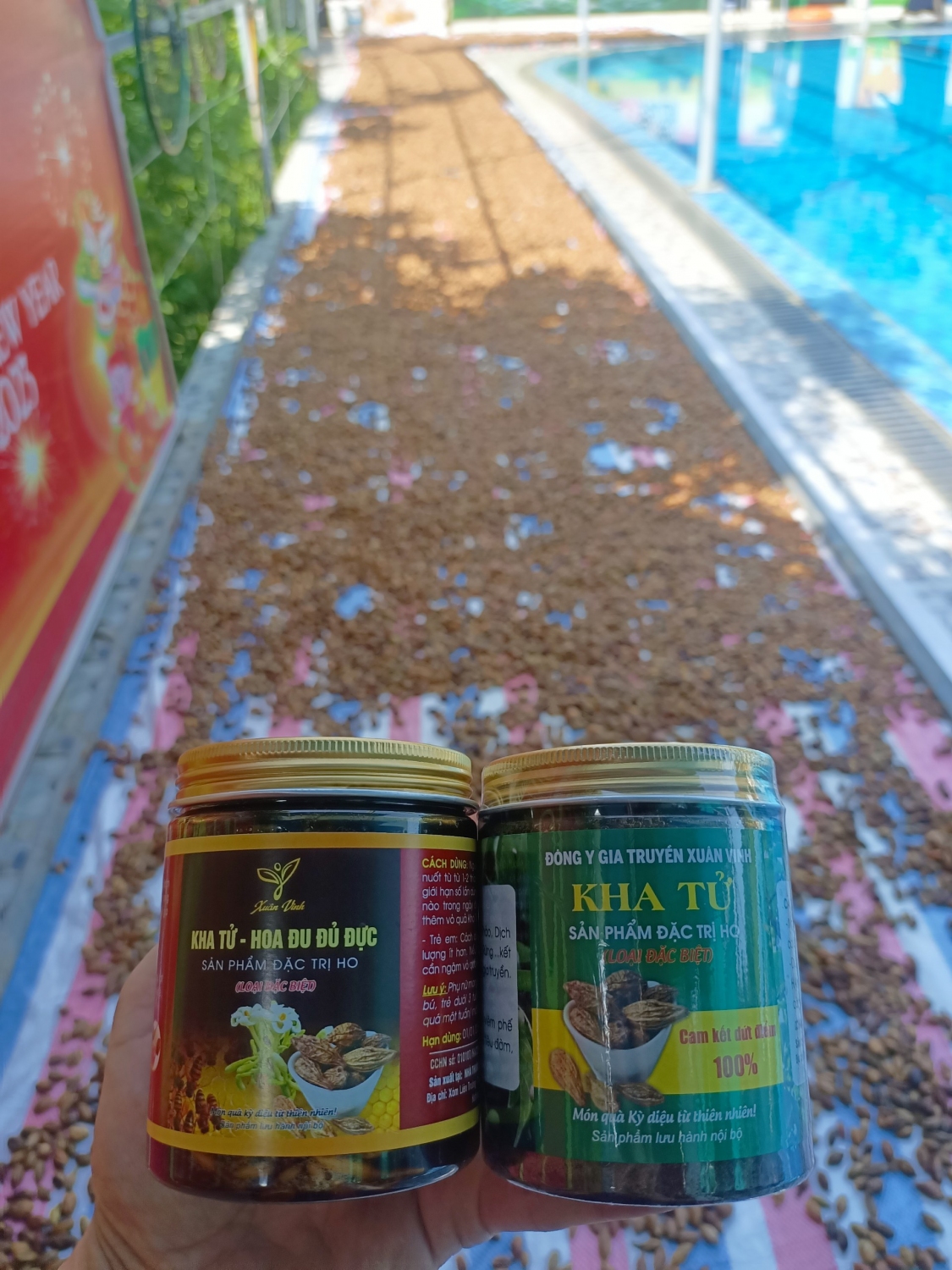 Kha tu dac tri ho xuan vinh