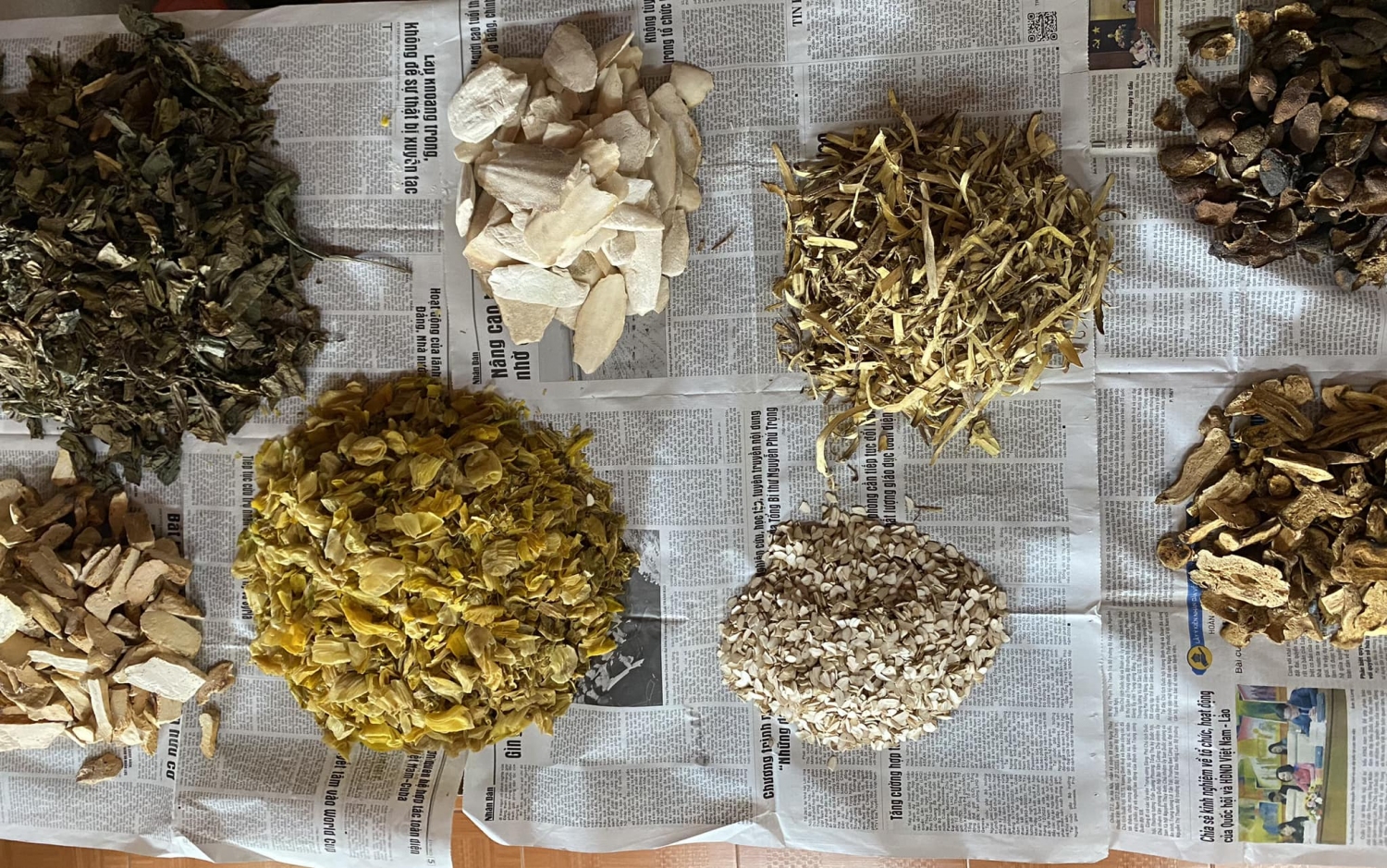 Giải pháp Dạ Dày – Đại Tràng Thảo Dược Xuân Vinh