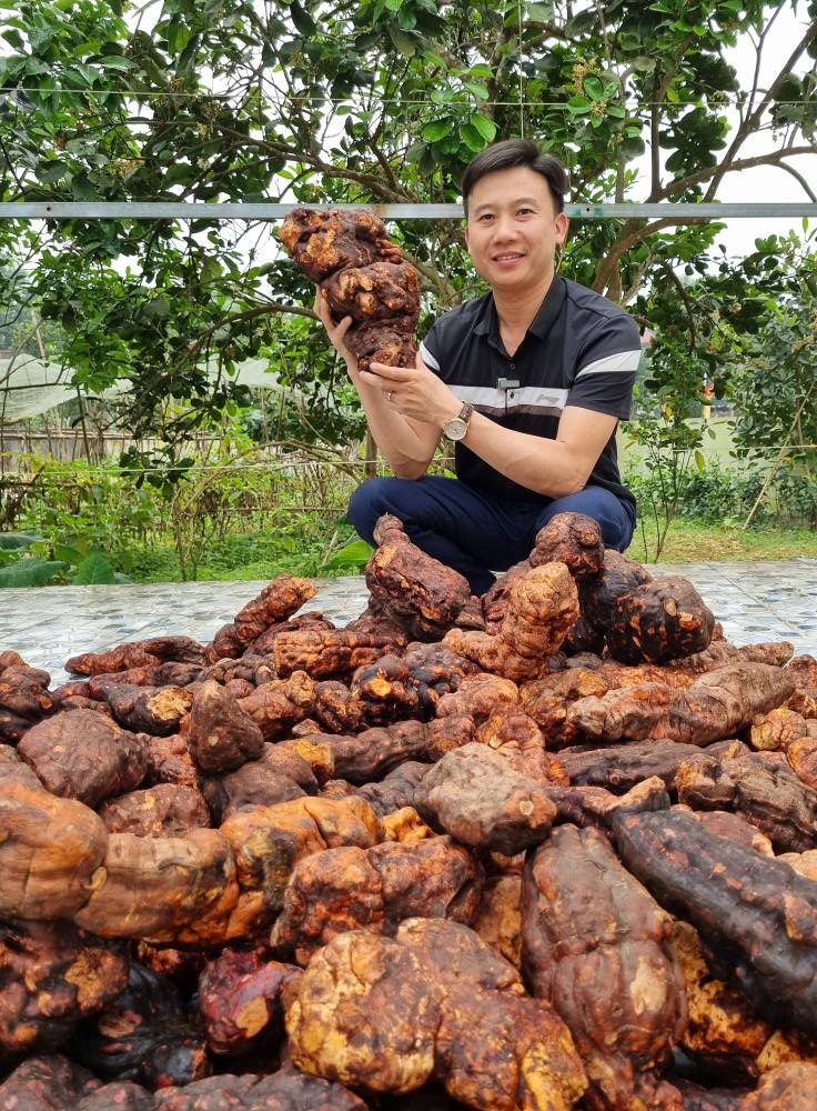 Vì sao nên chọn viên hoàn hà thủ ô đỏ mật ong rừng Xuân vinh